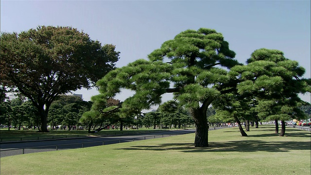 广角松在皇宫前的光洋御前广场/游客在背景/东京视频素材