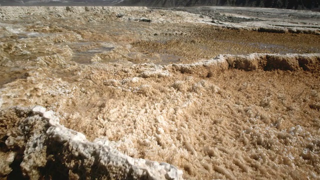 移动在黄石火山口温泉，黄石国家公园，怀俄明州，美国视频素材