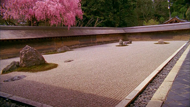 日本京都龙安寺的岩石花园和樱花视频素材