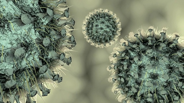 CGI流感病毒细胞视频下载