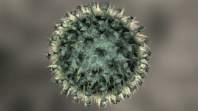 流感病毒细胞视频素材