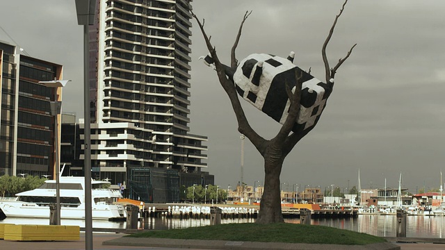 WS“奶牛上树”雕塑，由约翰凯利在Docklands，墨尔本，维多利亚，澳大利亚视频素材