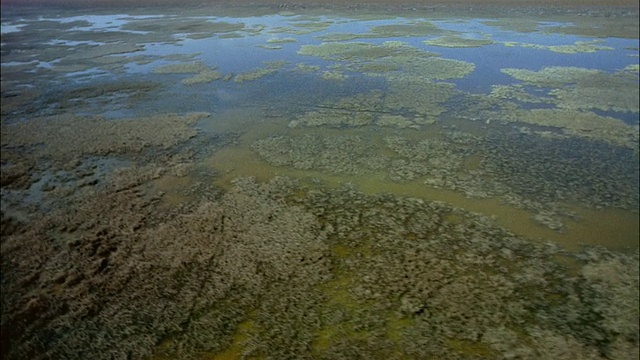 空中的沼泽湿地/西班牙视频素材