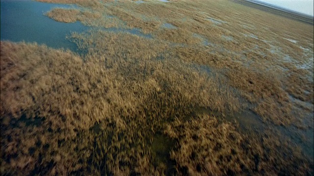 空中倾斜飞过沼泽湿地/西班牙视频素材