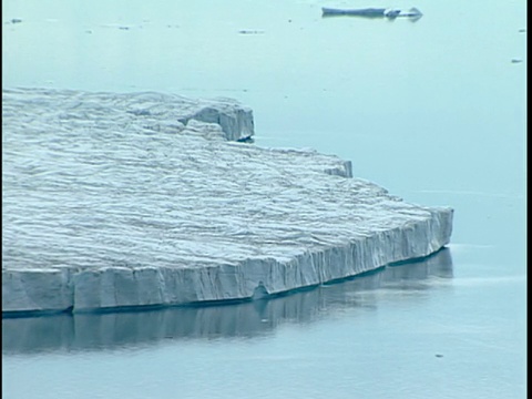 WS PAN ZI冰川的潮水流入大海，格陵兰岛视频素材