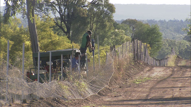 澳大利亚昆士兰，Dingo fence，两名男子沿着土路插入篱笆桩视频素材