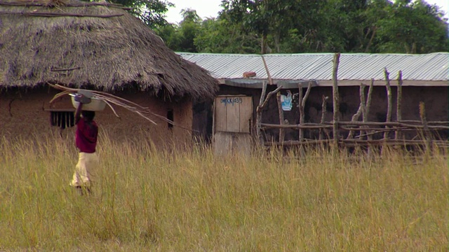 在加纳，Tamale，妇女们头上扛着东西穿过草地走向泥屋视频素材