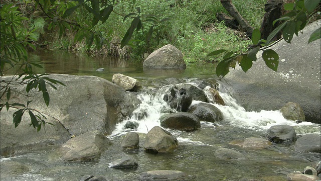 澳大利亚昆士兰，Yarrabah Mission, MS TD Stream在多个岩石上运行视频素材