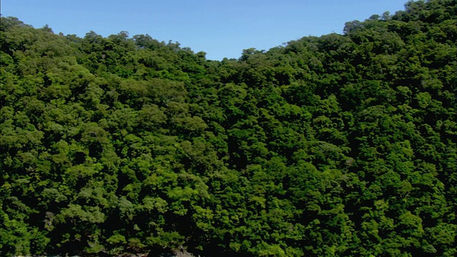 WS空中海滩和戴恩特里雨林，凯恩斯，昆士兰，澳大利亚视频素材