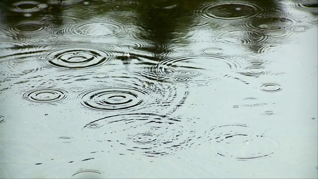 水滴落在平静的湖面反射树木，莫里斯敦，佛蒙特州，美国视频素材