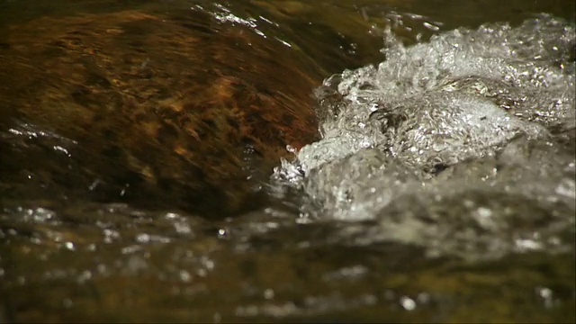 SLO MO ECU流动森林溪流，莫里斯敦，佛蒙特，美国视频素材