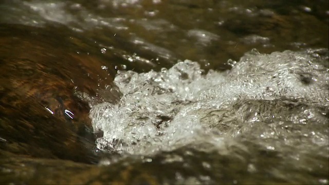 SLO MO ECU流动森林溪流，莫里斯敦，佛蒙特，美国视频素材