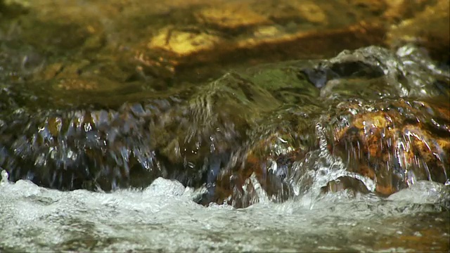 SLO MO ECU流动森林溪流，莫里斯敦，佛蒙特，美国视频素材