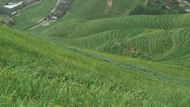 中国广西龙胜古作图WS HA梯田视频素材