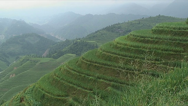 中国广西龙胜WS梯田视频素材