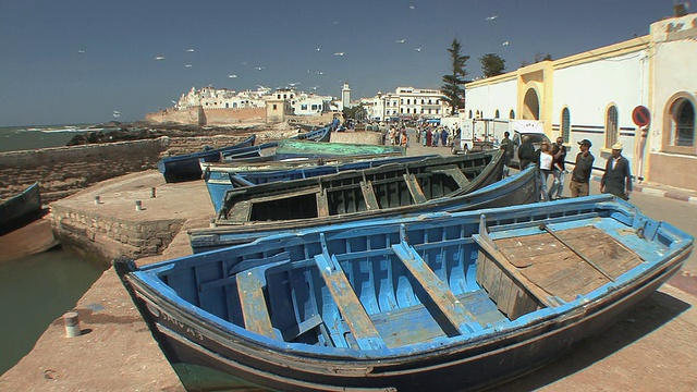 摩洛哥，Essaouira，渔船和盘旋的海鸥上岸视频素材