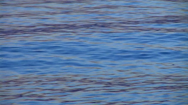 高清:海浪视频素材