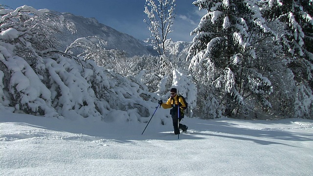 HD:在雪地里徒步旅行视频素材