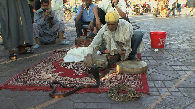 摩洛哥马拉喀什Djemaa el Fna广场的魔术师和观众视频素材