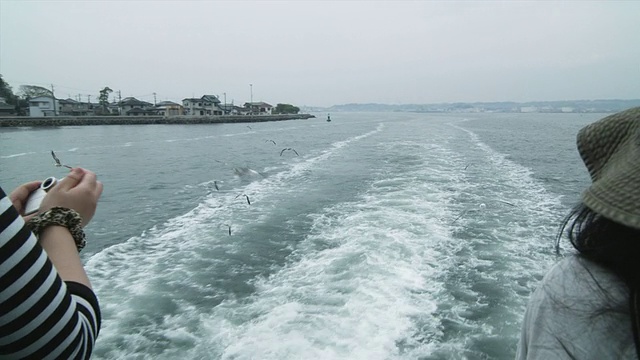 T/L CU PAN日本松岛，两名妇女在船上拍摄和喂食海鸥的后视图视频素材