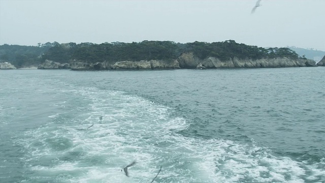 海鸥飞近渡轮，松岛，日本视频素材