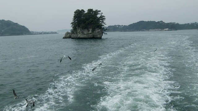 海鸥飞近渡轮，岩石岛的背景，松岛，日本视频素材