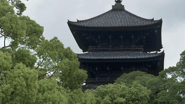 日本京都东寺五层宝塔顶部，前景中有树木视频素材