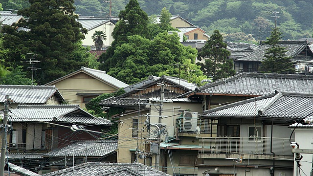 日本京都，传统日本屋顶上方的电力线路视频素材