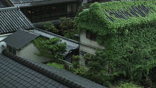 MS HA传统的日本屋顶与植被在雨，京都，日本视频素材