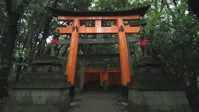 日本京都，通向Fushimi Inari Taisha神社内部的WS鸟居门，两侧有两只狐狸(Kitsune)雕像视频素材