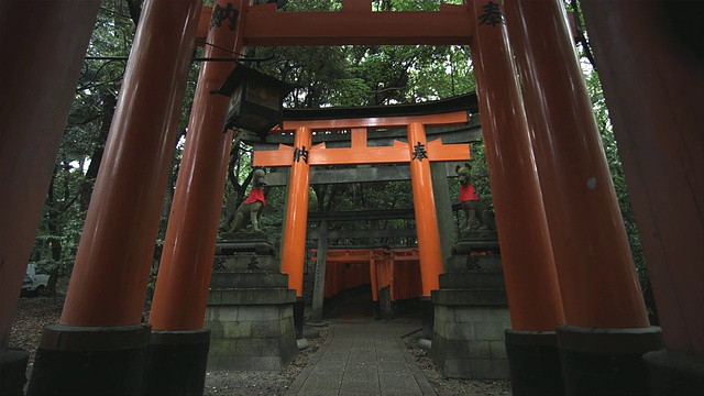 日本京都，鸟居门通向Fushimi Inari Taisha神社内，两侧有两只狐狸(Kitsune)雕像视频素材