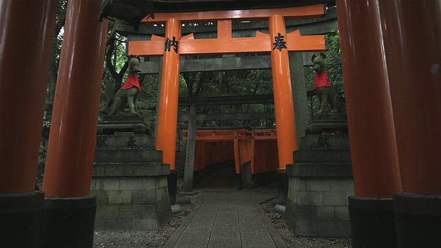 日本京都，鸟居门通向Fushimi Inari Taisha神社内，两侧有两只狐狸(Kitsune)雕像视频素材