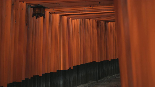 MS focus鸟居门通往内部的Fushimi Inari Taisha神社，日本京都视频素材