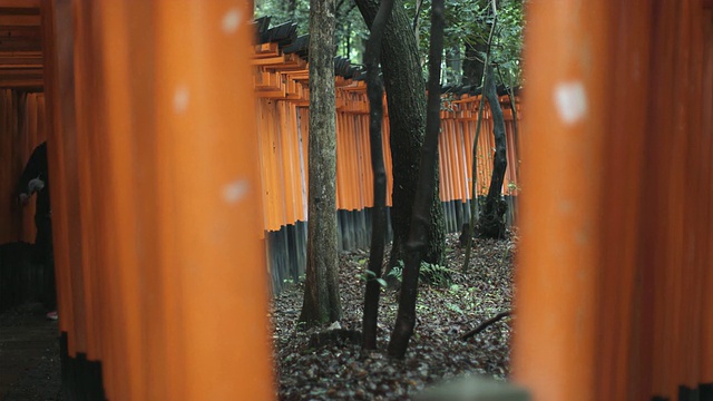 日本京都，通往Fushimi Inari Taisha神社内部的鸟居门视频素材