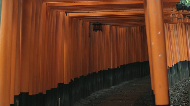 MS focus鸟居门通往内部的Fushimi Inari Taisha神社，日本京都视频素材