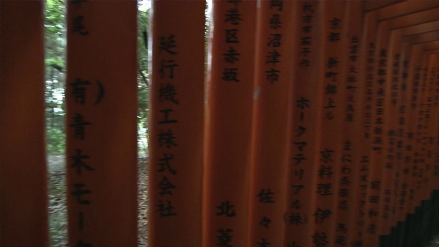 CU PAN Torii门通往内部的Fushimi Inari Taisha神社，日本京都视频素材