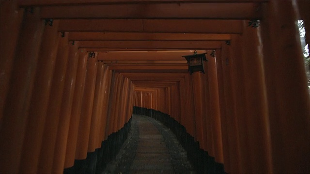 日本京都，从鸟居门下走到Fushimi Inari Taisha神社内视频素材