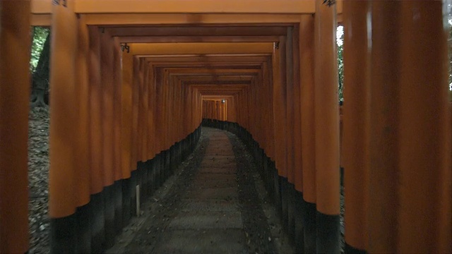 日本京都，从鸟居门下走到Fushimi Inari Taisha神社内视频素材