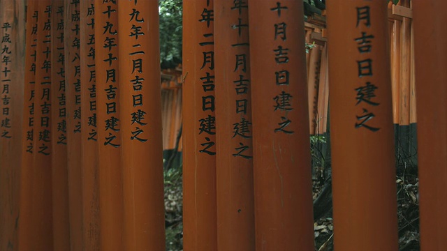 CU focus鸟居门通向内部伏见稻立大isha神社，日本京都视频素材