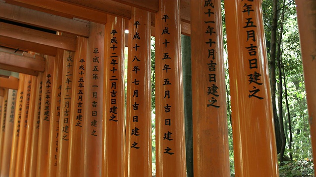 CU PAN Torii门通往内部的Fushimi Inari Taisha神社，日本京都视频素材