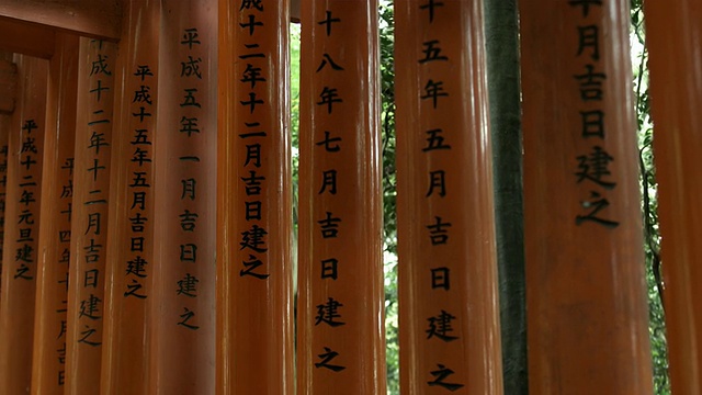 CU PAN MS Torii门通往内部的Fushimi Inari Taisha神社，日本京都视频素材