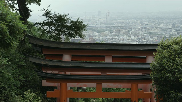 日本京都，Fushimi Inari Taisha神社的HA Torii门视频素材