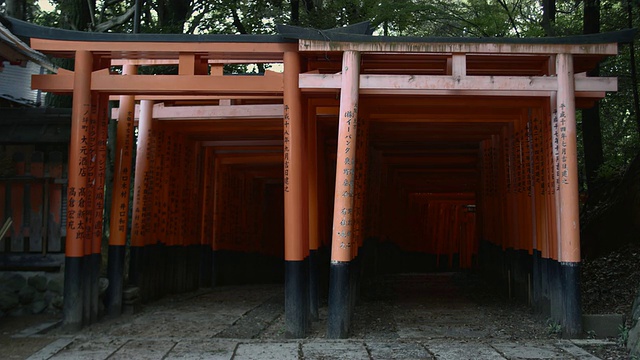 日本京都，通往Fushimi Inari Taisha神社内部的鸟居门视频素材