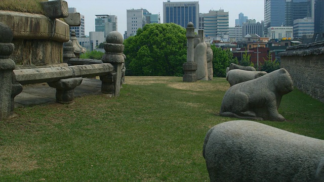 潘女士的皇家陵墓，朝鲜王朝，城市天际线的背景，Samneung公园，韩国首尔视频素材