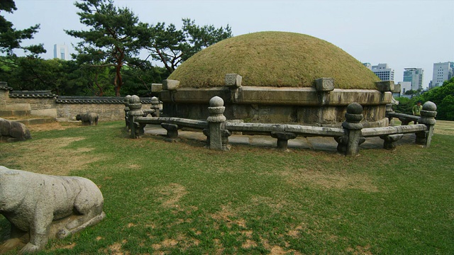 WS PAN皇家陵墓，朝鲜王朝，Samneung Park，首尔，韩国视频素材