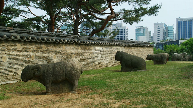 MS雕塑在皇家墓，朝鲜王朝，Samneung公园，首尔，韩国视频素材