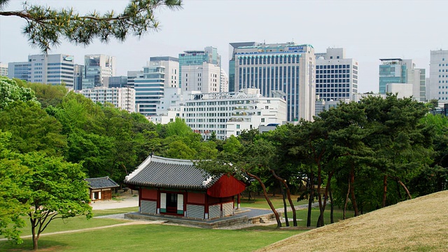 潘女士的皇家陵墓，朝鲜王朝，城市天际线的背景，Samneung公园，韩国首尔视频素材