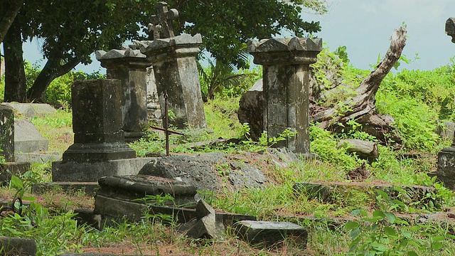 塞舌尔，拉迪格岛，老墓地视频素材