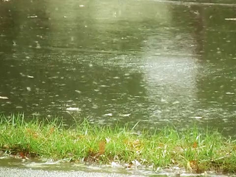 大雨视频素材