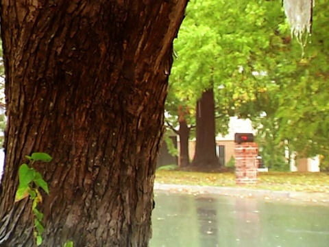 沉重的秋天的雨视频素材